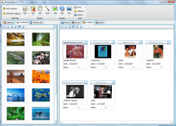 Photo Albums windows opened as standalone window, showing Albums & Thumbnails tabs